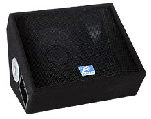 Peavey()I:TLM 2X Floor Monitor